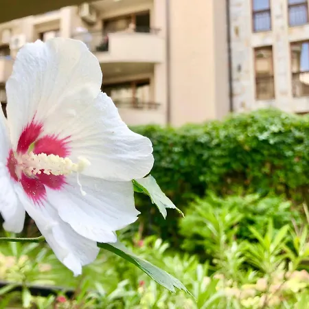 Menada In Dawn Park Delux Apartment *